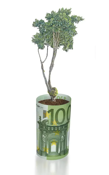 Tree growing from euro bill — Stock Photo, Image