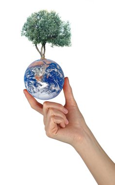 nasa tarafından döşenmiş bu görüntünün hand.elements toprağa
