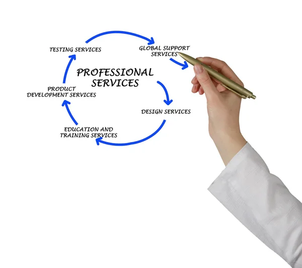 Diagram över professionella tjänster — Stockfoto