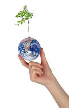 ağaç bezelye ve world.element besleyen bir sembolü olarak yeryüzünde