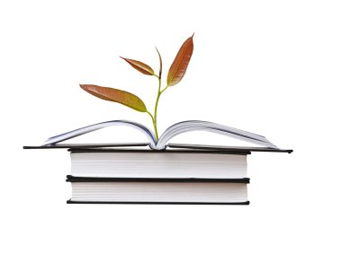Açık kitap büyüyen ağacı