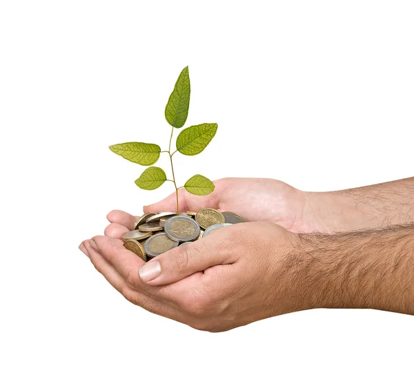 Palms with a tree growing from pile of coins — Stock Photo, Image