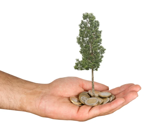 Árbol cultivado a partir de pila de monedas — Foto de Stock