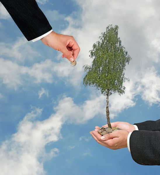 Árbol cultivado a partir de pila de monedas — Foto de Stock