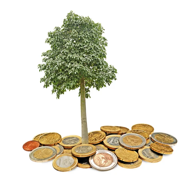 Árbol creciendo a partir de monedas — Foto de Stock