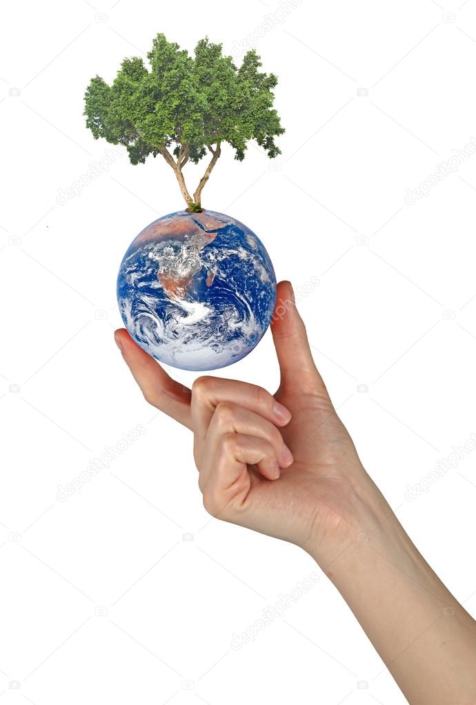 Tree on Earth as a symbol of peace.Elements of this image furnis