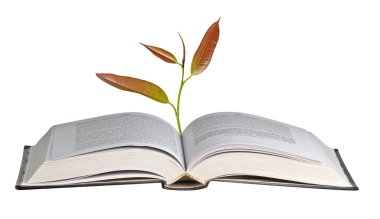 Açık kitap büyüyen ağacı