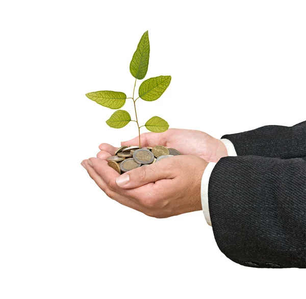 Palms with a tree growing from pile of coins — Stock Photo, Image