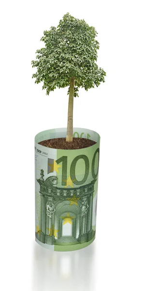 Tree growing from euro bill — Stock Photo, Image