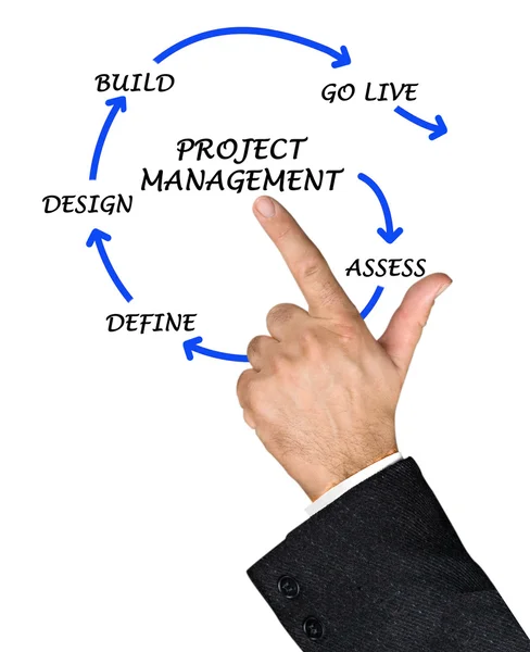 Project management — Stock Photo, Image