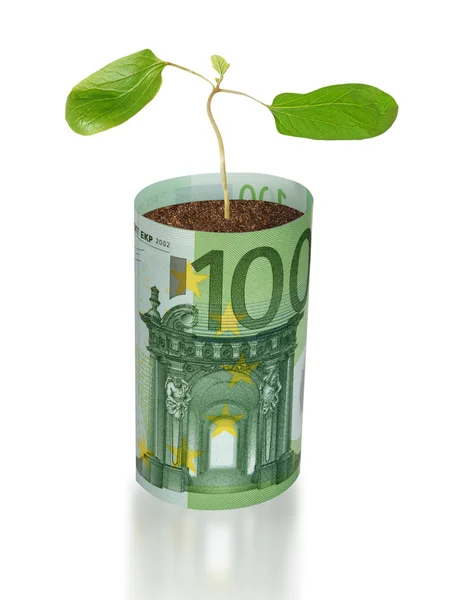 Plantgoed groeiende van euro bill — Stockfoto