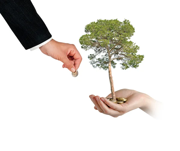 Investing to green business — Stock Photo, Image