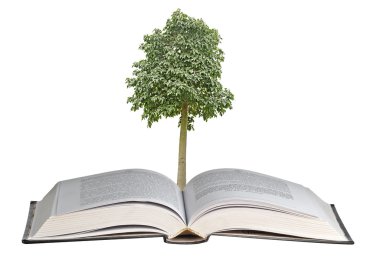 Açık kitap büyüyen ağacı