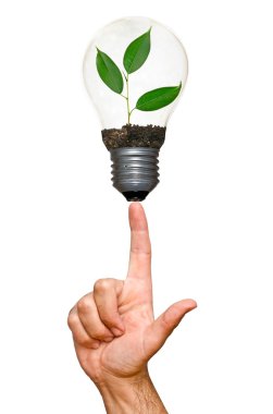 lamba içinde ağaç