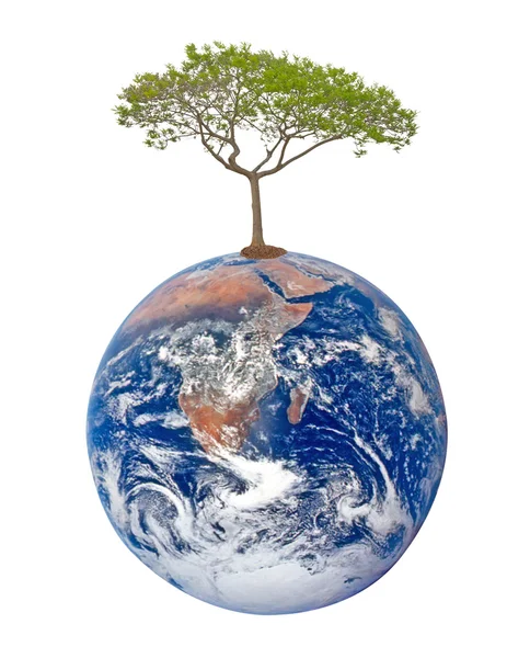 Planety ziemi jako symbol conservation.elements natury, to i — Zdjęcie stockowe
