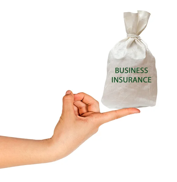 Väska med företagsförsäkringar — Stockfoto
