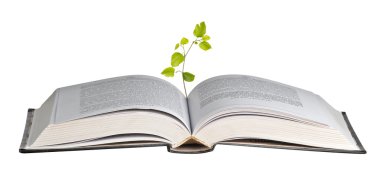 Açık kitap büyüyen ağacı