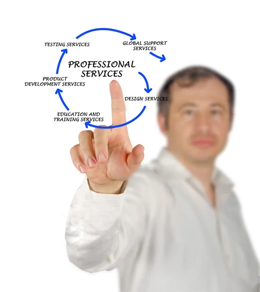 Diagram of professional services — Stock Photo, Image