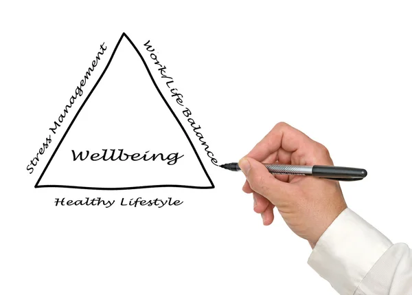 Diagrama de bienestar — Foto de Stock
