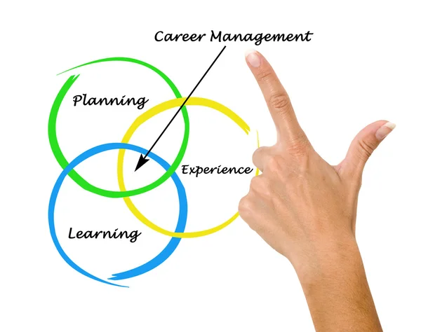 Diagram of career management — Stock Photo, Image