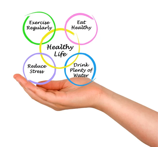 Diagram of healthy life — Stock Photo, Image