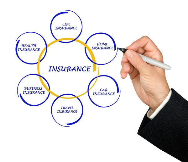 Presenting insurance diagram — Stock Photo, Image
