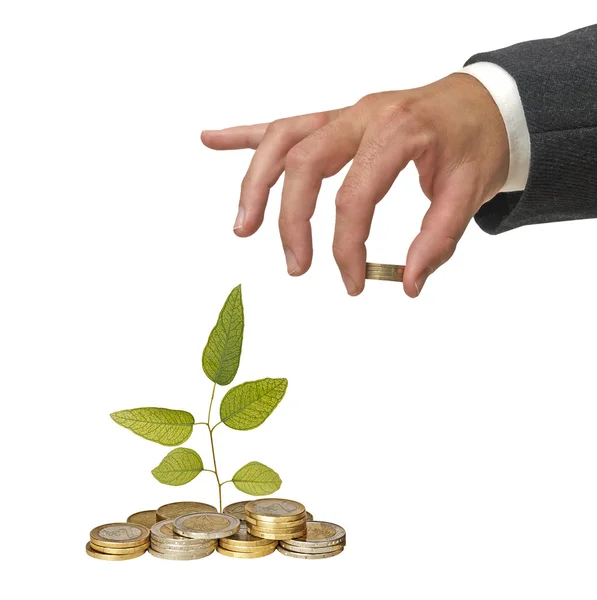 Investing to green business — Stock Photo, Image