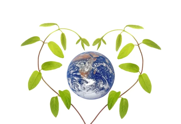 Green love..Elements of this image furnished by NASA — Stock Photo, Image