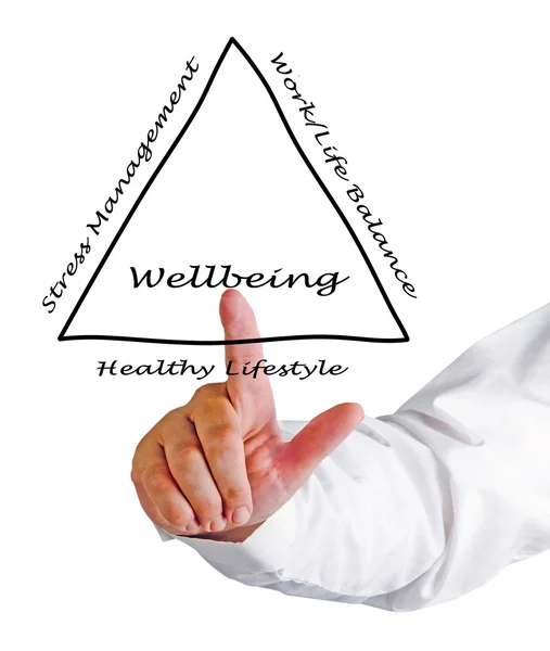 Diagram of wellbeing — Stock Photo, Image