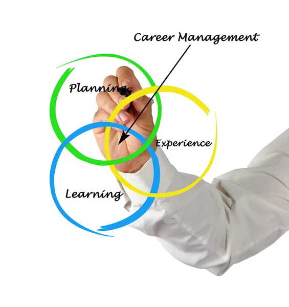 Diagrama de gestão de carreira — Fotografia de Stock