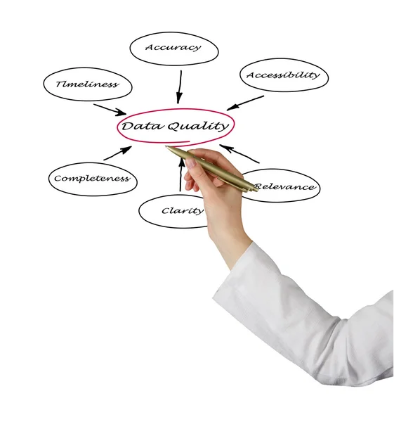 Diagrama de calidad de los datos — Foto de Stock