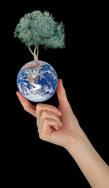 Gift of Earth.Elements of this image furnished by NASA — Stock Photo, Image