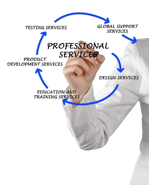 Diagram över professionella tjänster — Stockfoto