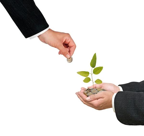 Investing to green business — Stock Photo, Image