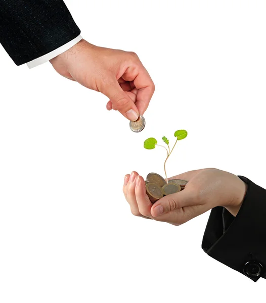 Investing to green business — Stock Photo, Image