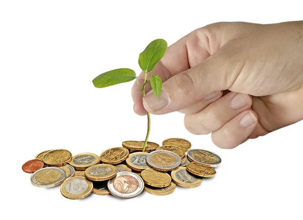 Planting tree — Stock Photo, Image