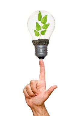 lamba içinde ağaç