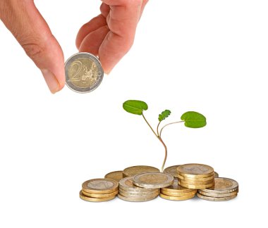 ağaç sikke yığını gelişen