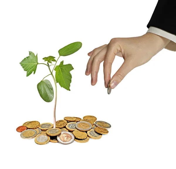 Investing to green business — Stock Photo, Image