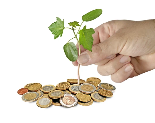 Investing to green business — Stock Photo, Image