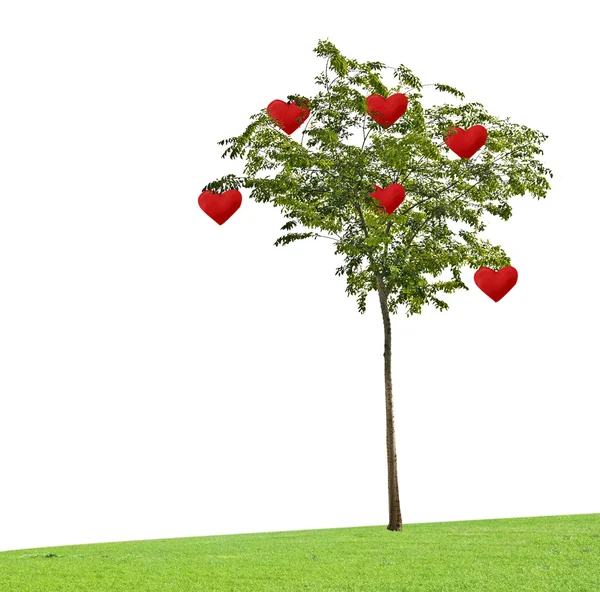 Tree with hearts — Stock Photo, Image