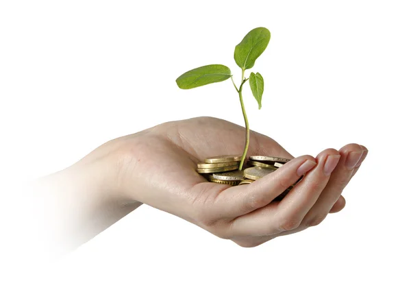 Investing to green business — Stock Photo, Image