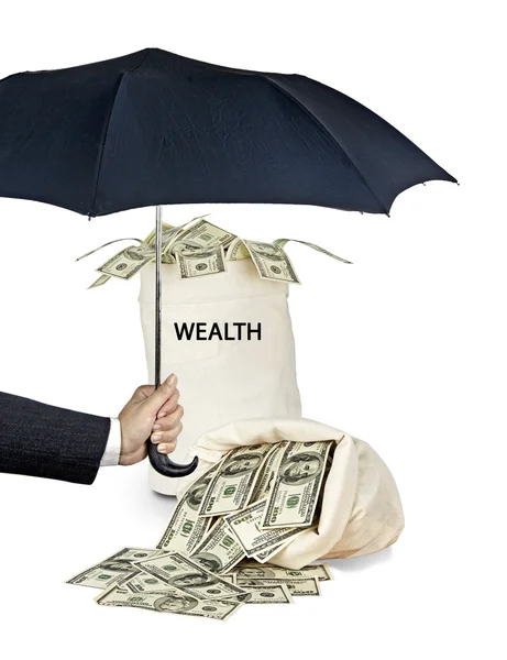 Protection of wealth — Stock Photo, Image