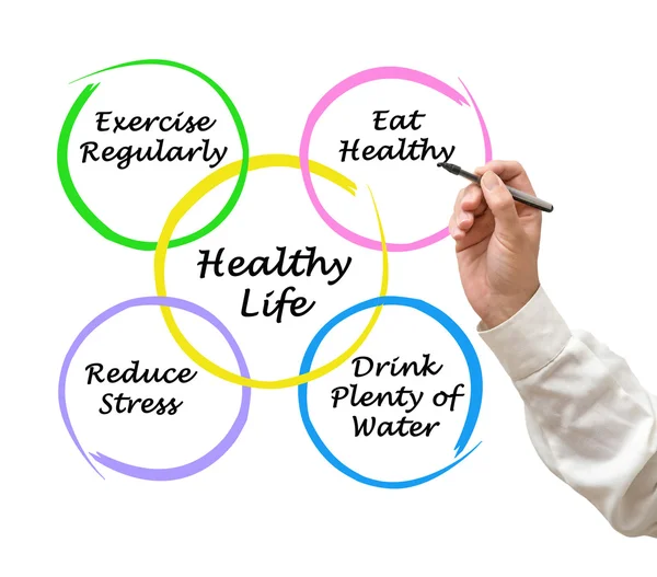 Diagram of healthy life — Stock Photo, Image