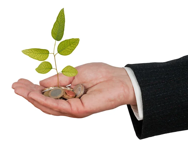 Инвестиции в зеленый бизнес — стоковое фото