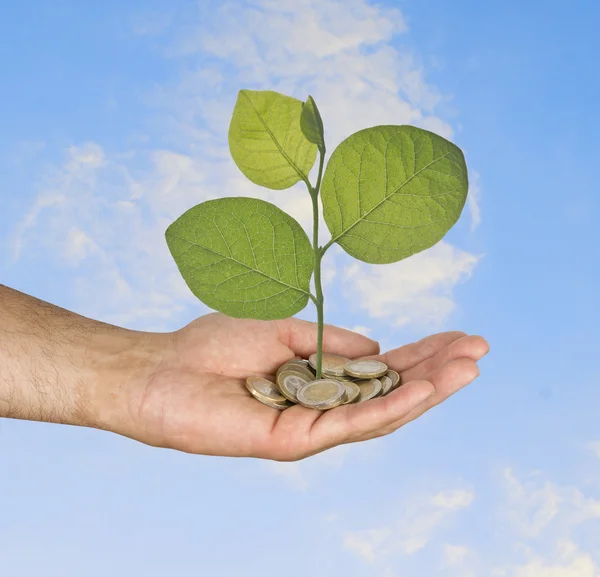 Investing to green business — Stock Photo, Image