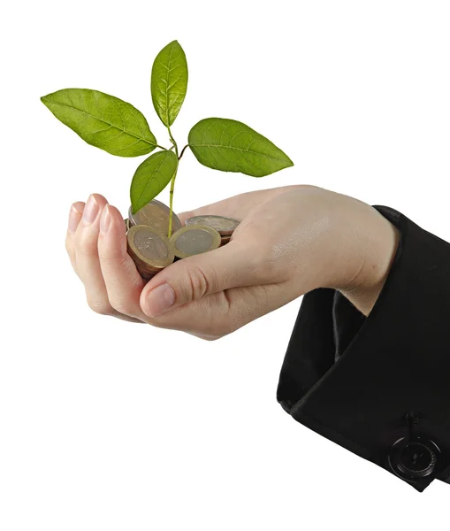 Investing to green business — Stock Photo, Image