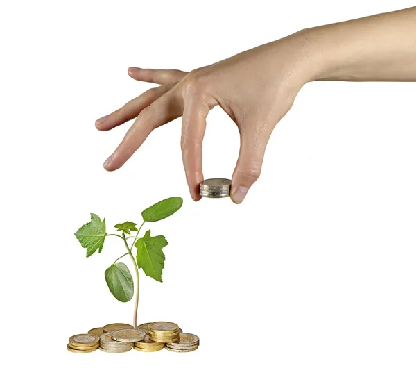 Investing to green business — Stock Photo, Image