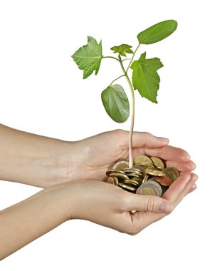 yeşil iş yatırım