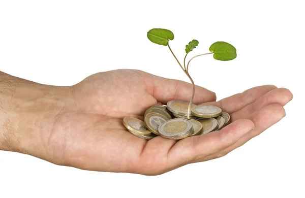 Investing to green business — Stock Photo, Image